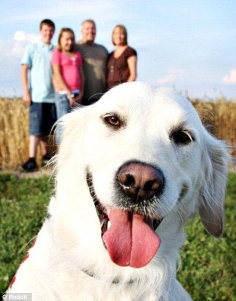 Khi thú cưng của gia đình mới là nhân vật chính.