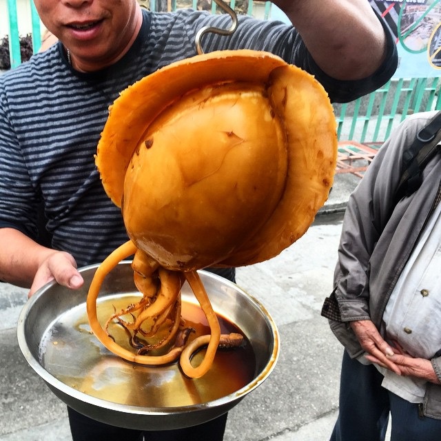 Dân du lịch phát sốt với món mực to như... con ngỗng - 3 Cận cảnh kích thước khổng lồ của một con mực nang