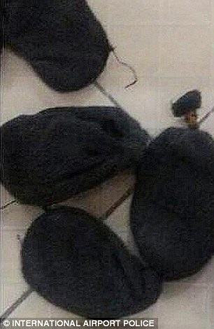 Những con rắn sống được để trong túi vải đen