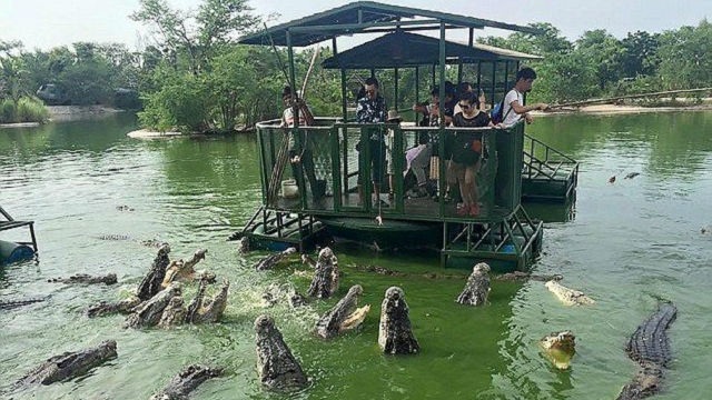 Du khách đứng trong bè đơn sơ cho cá sấu ăn