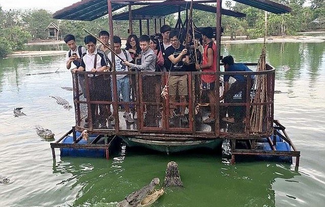 Xung quanh bè, cá sấu đói bủa vây tua tủa