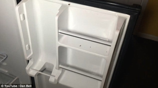 Du khách phát hoảng khi thấy rệp bò lổm ngổm, gián chết trong tủ lạnh - 5 Cận cảnh tủ lạnh còn nguyên xác gián chết