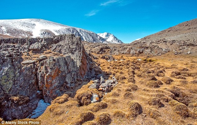 “Sởn da gà” với bức ảnh du khách bị trăm con muỗi bu kín chân - 2 Anh tới đây để tìm hiểu về vấn đề buôn bán ngà voi trái phép