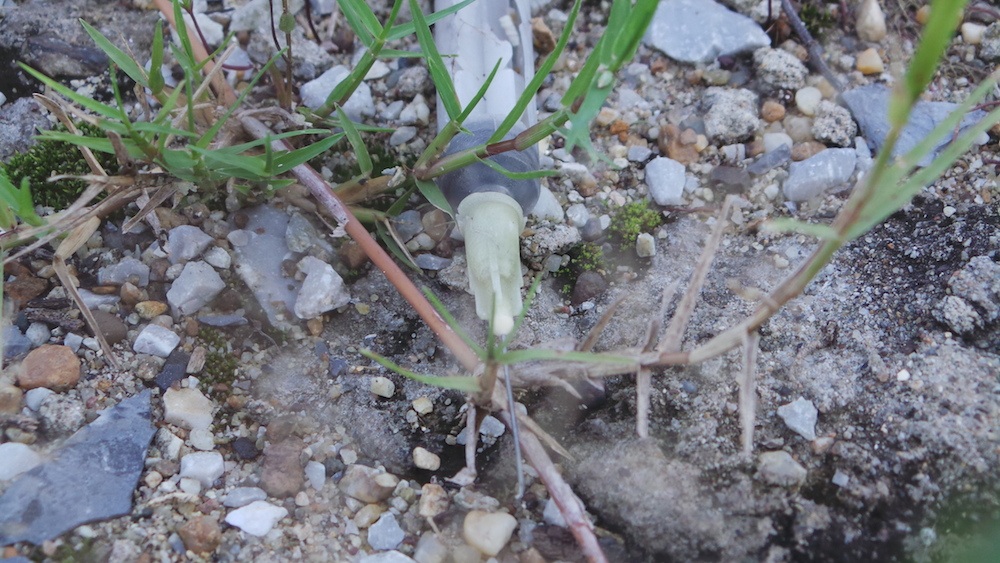 Ninh Bình: Tượng đài tiền tỷ bị lãng quên giữa muôn trùng cây cỏ - 8