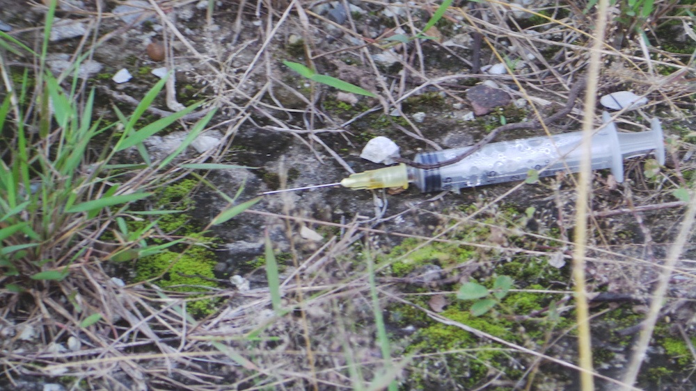 Ninh Bình: Tượng đài tiền tỷ bị lãng quên giữa muôn trùng cây cỏ - 7