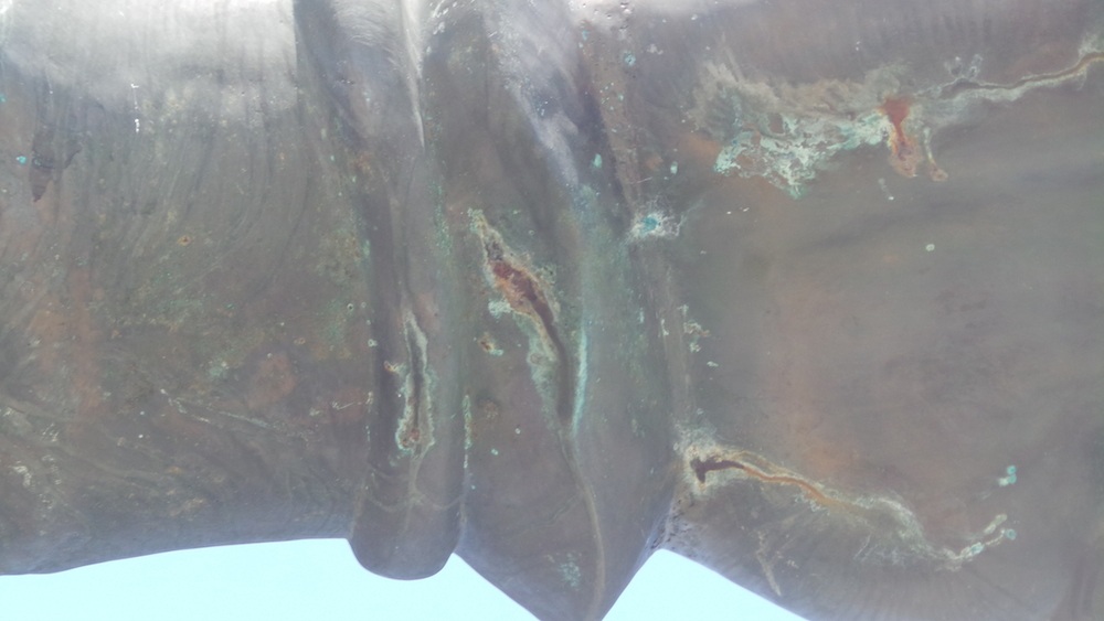 Ninh Bình: Tượng đài tiền tỷ bị lãng quên giữa muôn trùng cây cỏ - 4