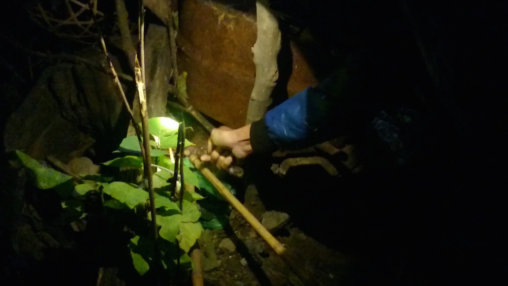 Hà Nội: Săn chuột cống kiếm tiền triệu mỗi đêm - 3
Hình ảnh thợ săn chuột bên cạnh mương thoát nước trên phố Minh Khai.