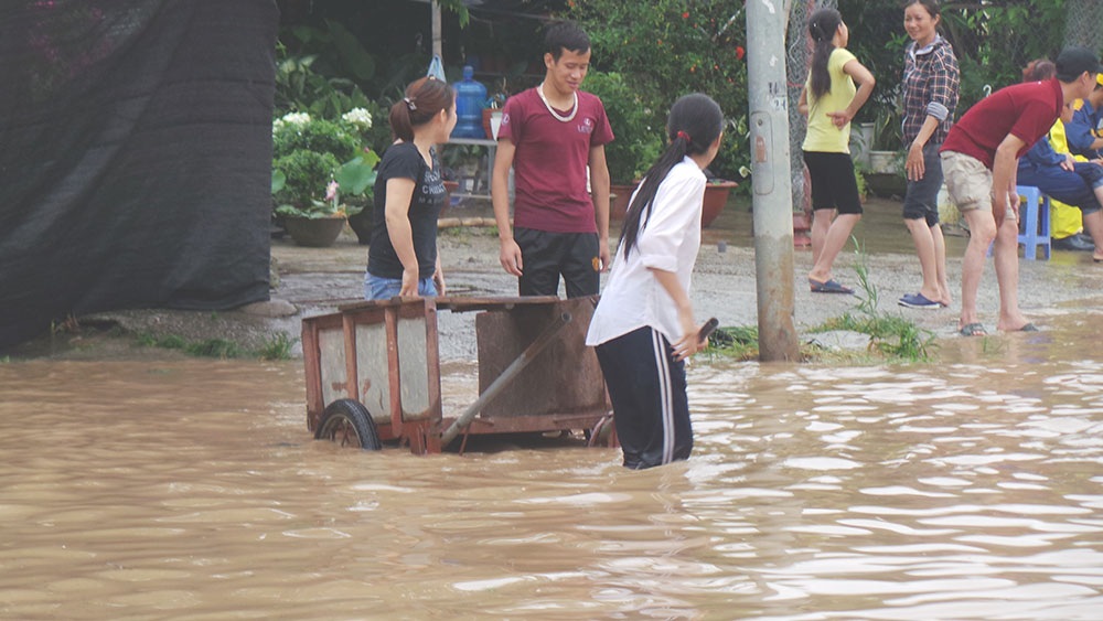 Nước ngập sâu, một số người đã dùng xe kéo mời chào người đi đường cho xe máy lên xe kéo qua dòng nước lũ.
