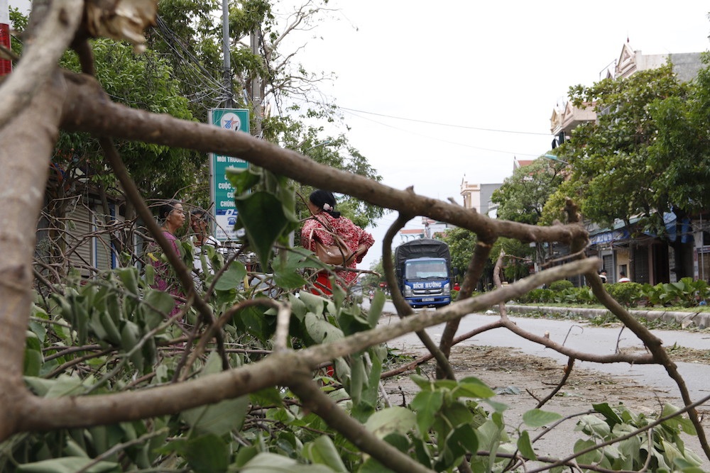 
Do bão đổ bộ vào ban đêm nên thiệt hại chủ yếu vê cây cối, một số nhà dân lợp tôn và biển quảng cáo mặt phố.
