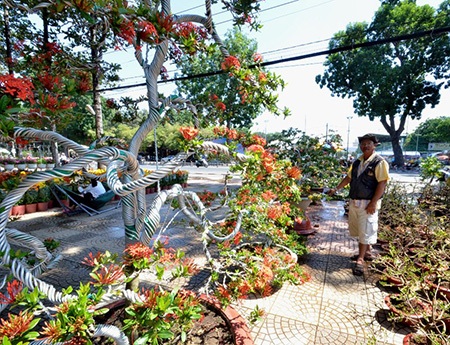 Hoa Xuân xuống phố Sài Gòn - 10
Chậu hoa Trang này được chào bán với giá không dưới 35 triệu đồng