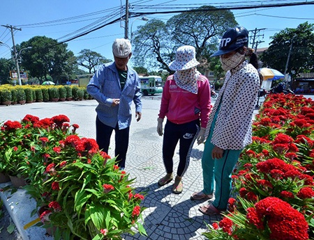 Hoa Xuân xuống phố Sài Gòn - 9 Chợ hoa xuân ở công viên Gia Định (quận Phú Nhuận) cũng bắt đầu tấp nập