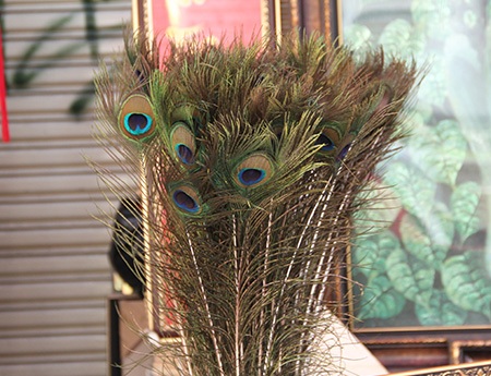 
Đến phố ông đồ những ngày Xuân, người ta còn nhìn thấy loại bút viết ngỡ như đã tuyệt chủng, đó là những cây viết lông công, loại viết thường dùng để viết mực Tàu, tạo nên những nét chữ bay bướm...
