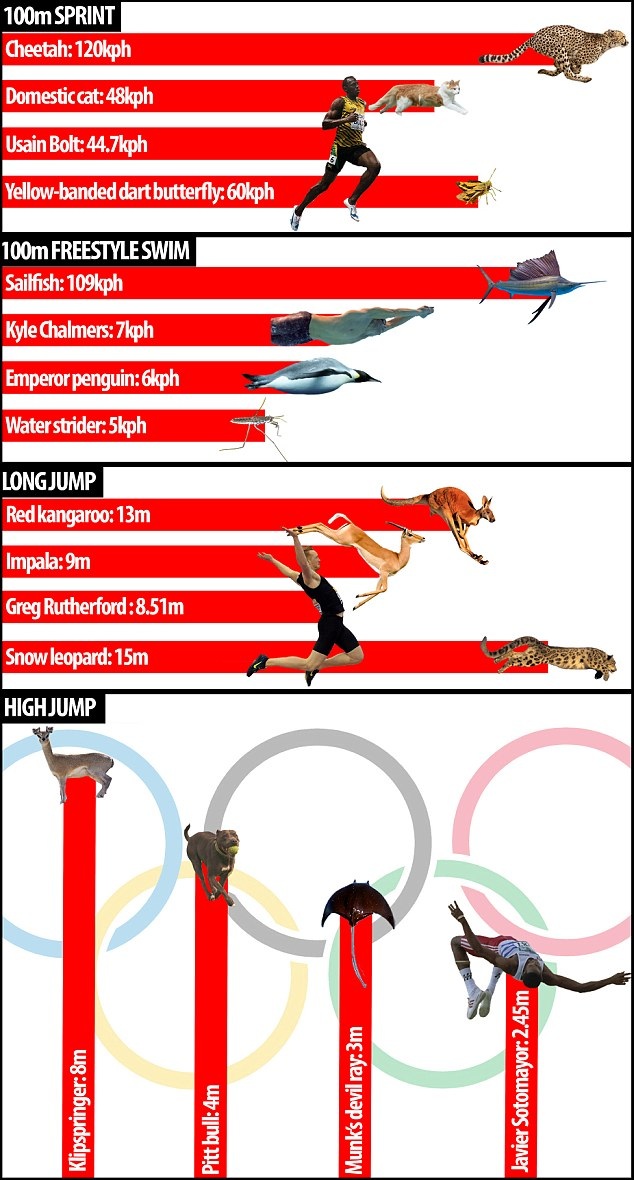 Những VĐV mạnh mẽ và nhanh nhẹn nhất Olympic 2016 - 9 Thông số cụ thể của các VĐV ở nhóm nhanh nhất, cao nhất, mạnh nhất, và thông số để so sánh với các loài nhanh và dẻo dai nhất hành tinh