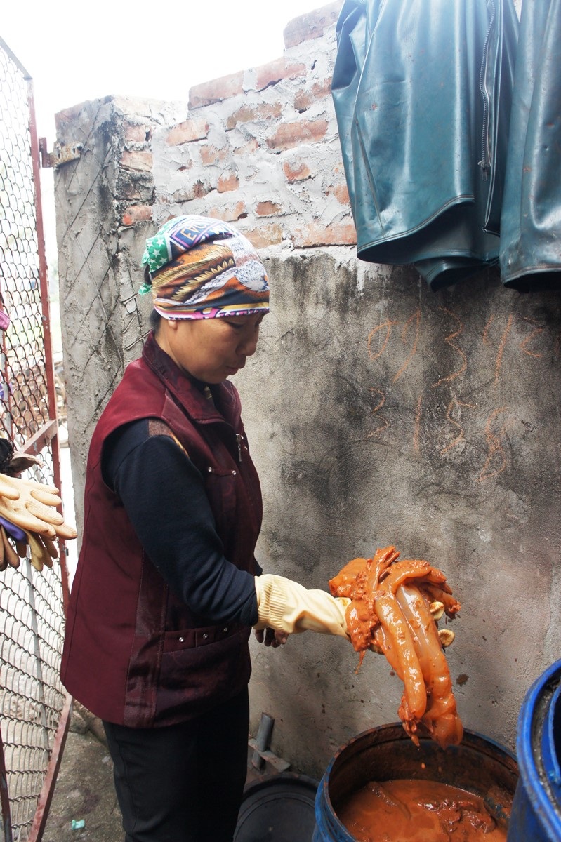 Sứa muối sú, vẹt có màu bã trầu rất đẹp mắt.