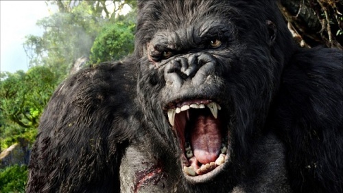 King Kong sẽ "bước" trên những ngọn núi hùng vĩ ở Việt Nam - 1 King Kong sẽ "bước" trên những ngọn núi hùng vĩ ở Việt Nam - 1