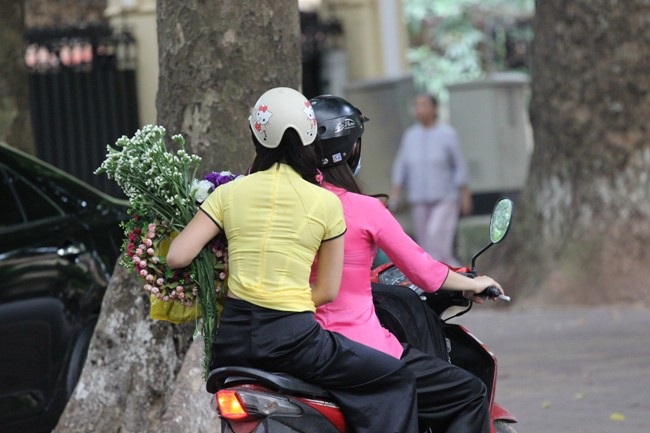 Cúc họa mi nở sớm vội vã về phố thị Hà Thành - 4