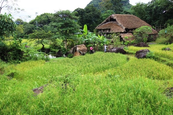 Con người hồn hậu, chất phác, phong cảnh thiên nhiên hữu tình, khí hậu trong lành mát mẻ…