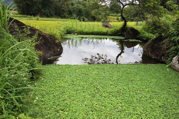 Khám phá chốn yên bình đẹp nên thơ nơi vùng cao Hà Giang - 12