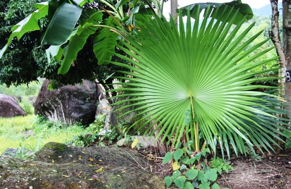 Khám phá chốn yên bình đẹp nên thơ nơi vùng cao Hà Giang - 13