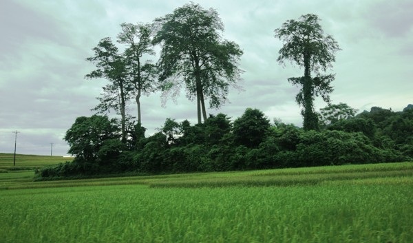 Khám phá chốn yên bình đẹp nên thơ nơi vùng cao Hà Giang - 6