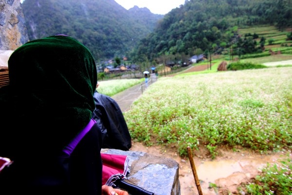 
Chúng tôi băng qua những con đường ngoằn nghoèo phía dưới là vực sâu, cảm nhận cái lạnh đầu mùa để đến với vùng hoa tam giác mạch
