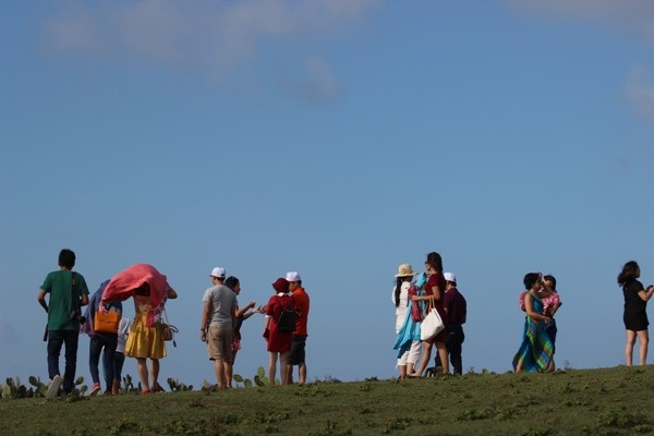 Khám phá thảo nguyên xương rồng bát ngát trên đất Phú Yên - 7