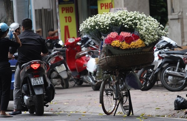Cúc hoa mi rộn ràng xuống phố... - 4