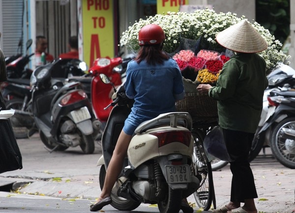 Cúc hoa mi rộn ràng xuống phố... - 9