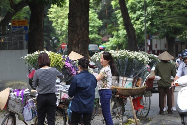 Cúc hoa mi rộn ràng xuống phố... - 12