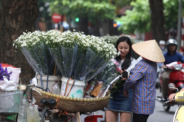 Cúc hoa mi rộn ràng xuống phố... - 11