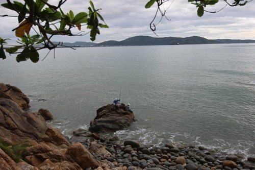 Đến Bình Định ngoài thú vãn cảnh ở vùng đất này du khách sẽ được thưởng thức món ngon như món Tré bò nhâm nhi với rượu bàu đá