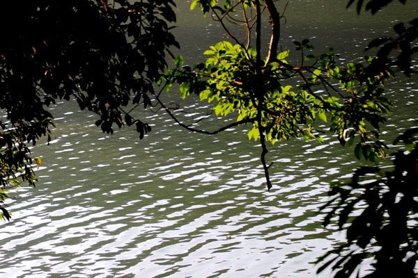 Bạn có thể đến đây vào bất kỳ thời gian nào trong năm, vì khí hậu nơi này khá mát mẻ và dễ chịu.