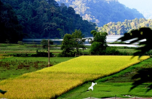 Ba Bể đẹp mơ màng hiếm có giữa núi rừng Đông Bắc - 2