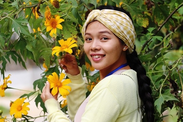 Dã quỳ bung nở trên non nước Cao Bằng - 3