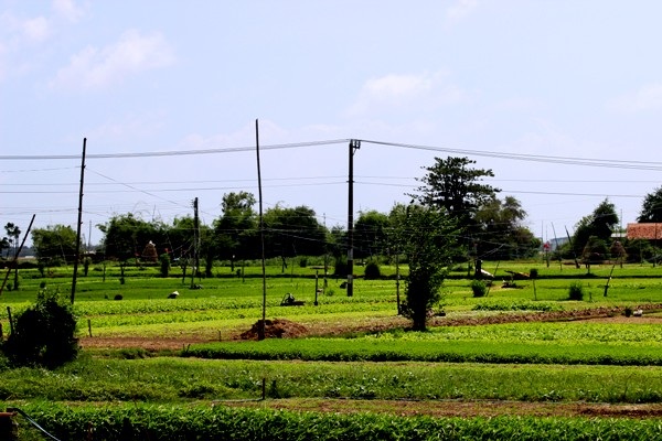 Bất Ngờ Với Làng Quê Đẹp Như Cổ Tích Trên Đất Phú Yên | Báo Dân Trí