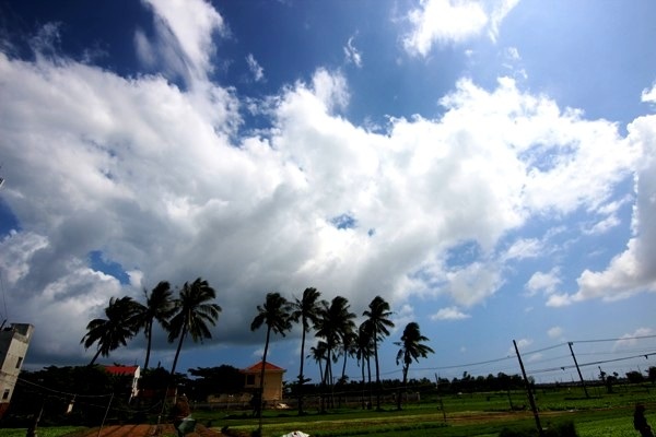 Bất ngờ với  làng quê đẹp như cổ tích trên đất Phú Yên - 2