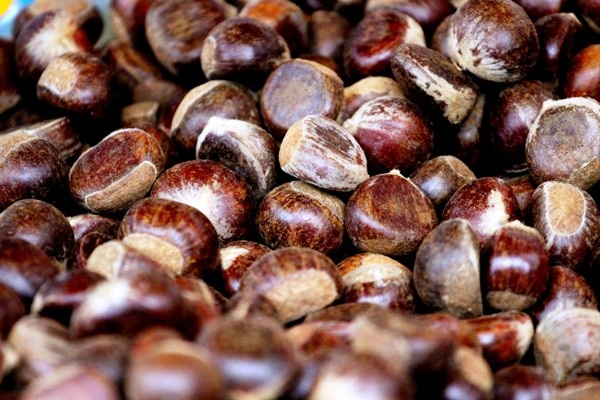 Chớm Đông, hạt dẻ Trùng Khánh thơm lừng cả góc chợ - 2
