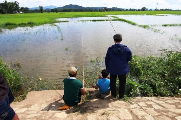 Về Hồ Lắk câu cá, cưỡi voi - 2