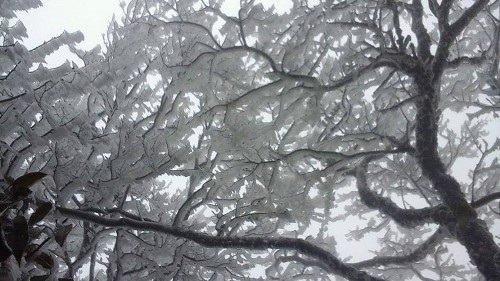 Băng giá liên tiếp xuất hiện tại các điểm du lịch vùng núi phía Bắc - 1 Băng giá liên tiếp xuất hiện tại các điểm du lịch vùng núi phía Bắc - 1