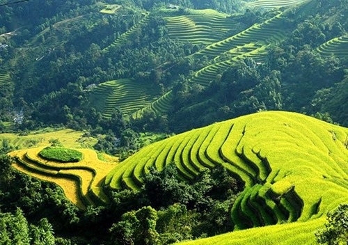 Những điểm đến ở Việt Nam từng “quyến rũ” các sao thế giới - 5 Những điểm đến ở Việt Nam từng “quyến rũ” các sao thế giới - 5