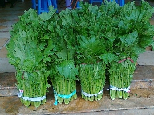 Những món ngon nức tiếng ở Sapa - 4 Những món ngon nức tiếng ở Sapa - 4