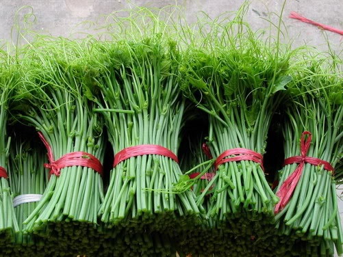 Những món ngon nức tiếng ở Sapa - 5 Những món ngon nức tiếng ở Sapa - 5