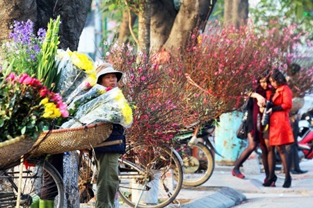 Du xuân qua những chợ hoa nức danh Hà Thành - 4 Du xuân qua những chợ hoa nức danh Hà Thành - 4