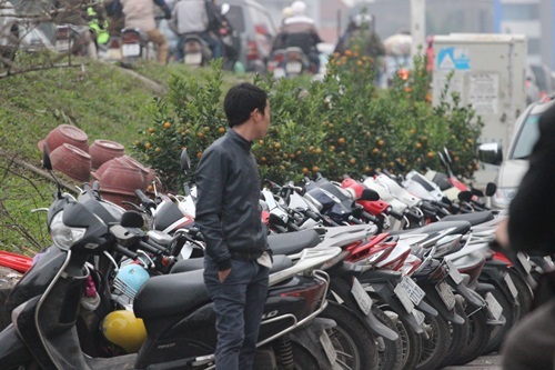 Suốt cả ngày chợ hoa Quảng An, Hà Nội luôn kín chỗ để xe...