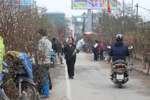Thú chơi hoa và cây cảnh ngày Tết nói chung và thú chơi đào nói riêng thể hiện sự tinh tế trong tâm hồn người Việt.