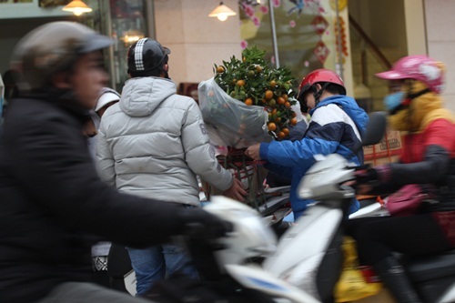 Hai nam thanh niên này đang cẩn thận chằng cây lên xe ...