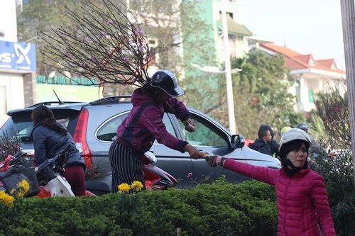 Hoa đào vẫn còn nhiều hai bên phố, giá có rẻ hơn những ngày trước do nhiều chủ hàng muốn nhanh chóng để ra về.