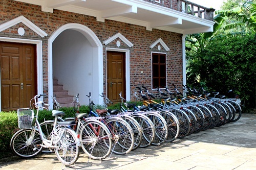 Một ngày rong ruổi nơi phim trường “Kong: Skull Island” trên đất cố đô - 13