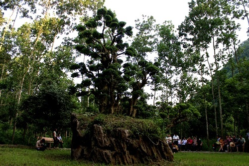 Một ngày rong ruổi nơi phim trường “Kong: Skull Island” trên đất cố đô - 8