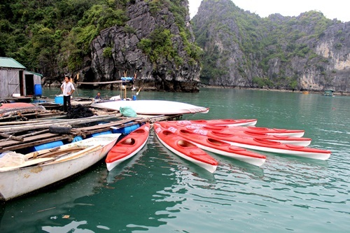
Chính vì thế các danh lam thắng cảnh tại Hạ Long, Ninh Bình, Quảng Bình đã đáp ứng đầy đủ các yêu cầu khắt khe của các sao điện ảnh Hollywood.
